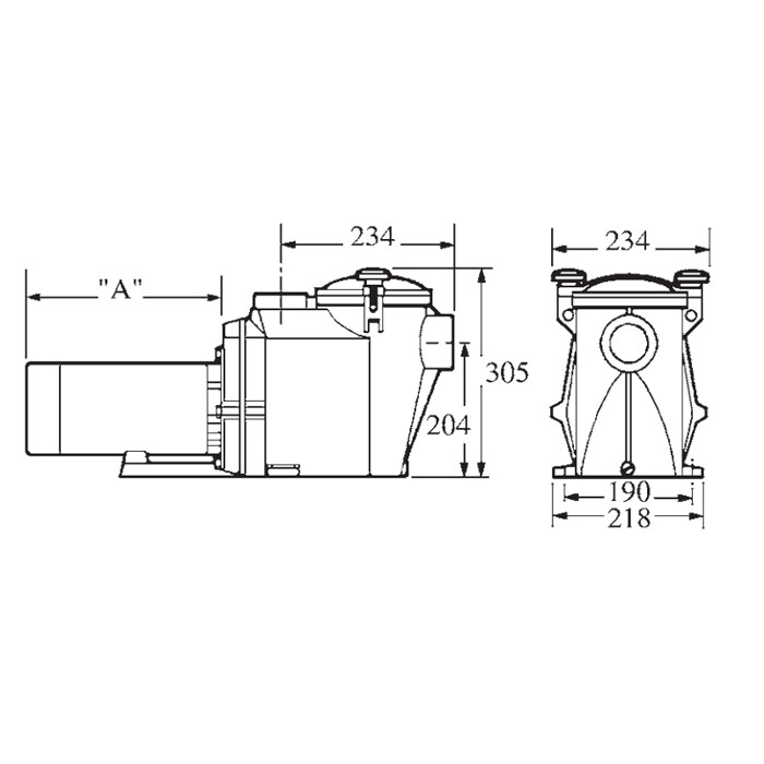 Насос Hayward RS II RS3016VSTD (220V, 1,5HP) фото 4